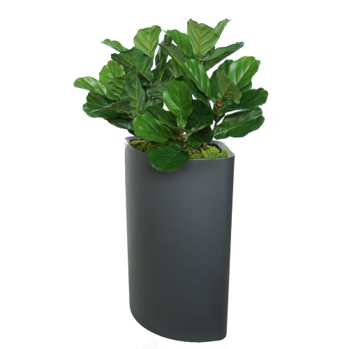 Planta semi-artificiala Ila, Ficus Lyrata Green - 120 cm